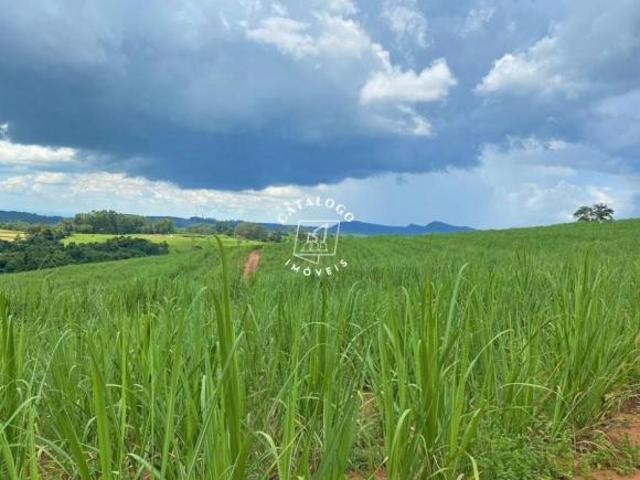 Sítio e chácara venda em Região Imediata de Ribeirão Preto, Região Metropolitana de Ribeirão Preto