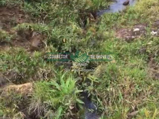 Sítio e chácara venda em Região Geográfica Imediata de Juiz de Fora, Bocaina de Minas