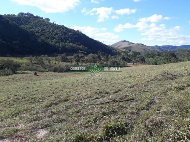 Sítio e chácara venda em Região Geográfica Imediata de Juiz de Fora, Liberdade