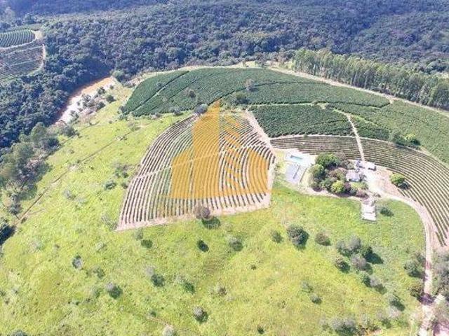 Sítio e chácara venda em Região Geográfica Imediata de Araxá, Pratinha