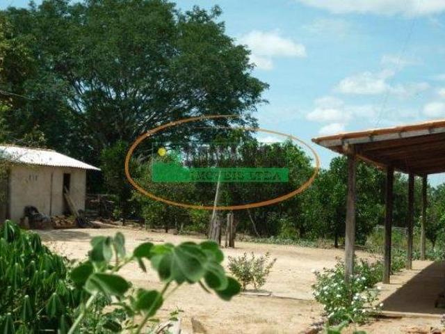 Sítio e chácara venda em Região Geográfica Imediata de São Francisco, São Francisco