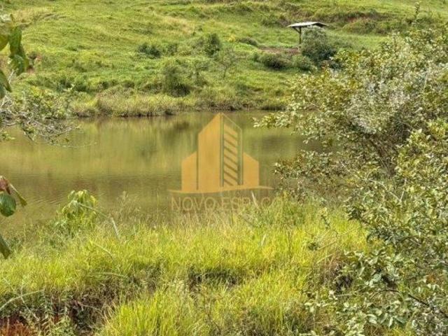 Sítio e chácara venda em Região Geográfica Imediata de Ponte Nova, Ponte Nova