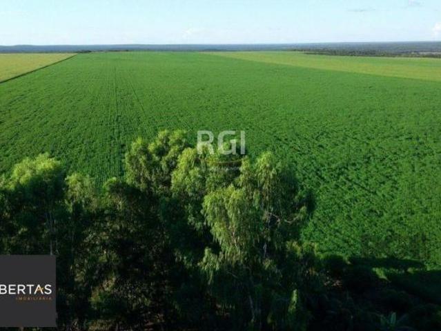 Sítio e chácara venda em Região Geográfica Imediata de Tangará da Serra, Sapezal