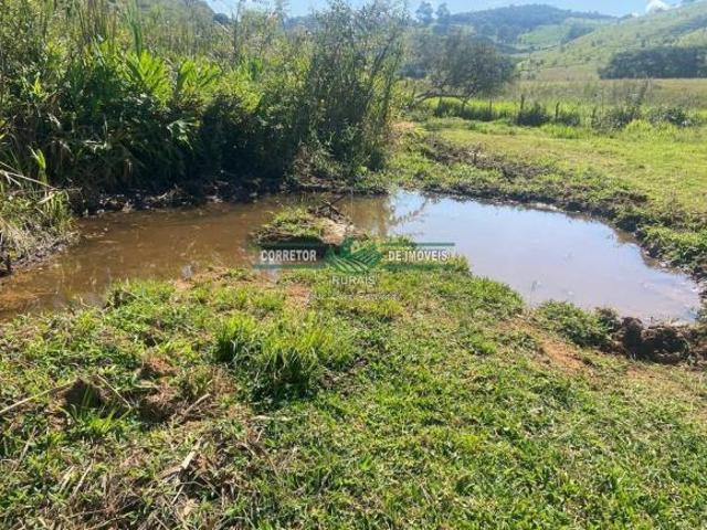Sítio e chácara venda em Região Geográfica Imediata de São Lourenço, Pouso Alto