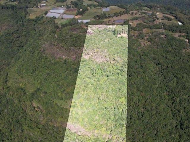 Sítio e chácara venda em Região Geográfica Imediata de Caxias do Sul, Nova Pádua