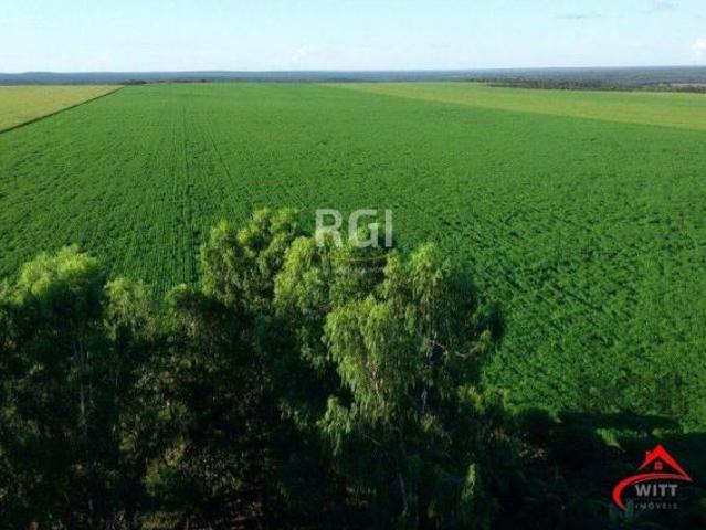Sítio e chácara venda em Região Geográfica Imediata de Tangará da Serra, Sapezal