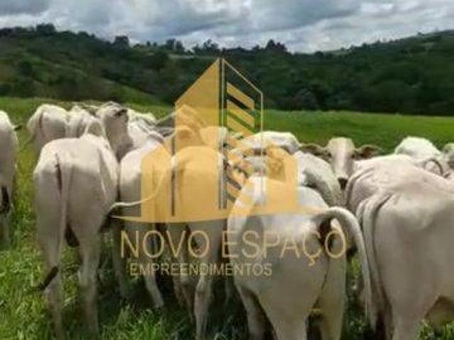 Sítio e chácara venda em Região Geográfica Imediata de Patos de Minas, Patos de Minas