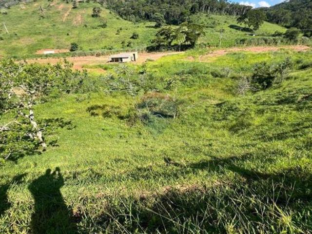 Sitio venda em Sapucaia do Sul, Centro