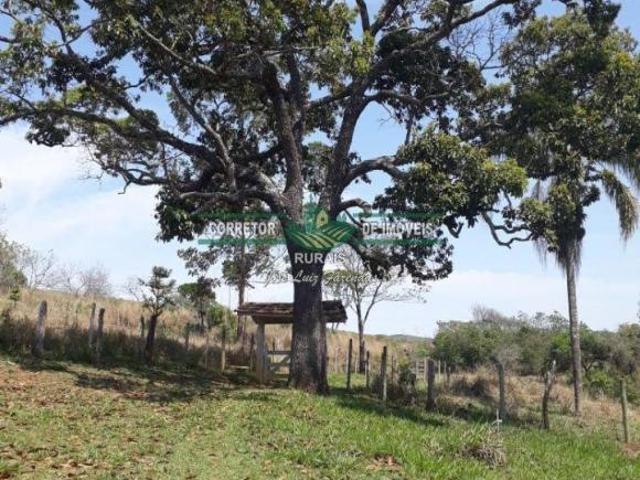 Sítio e chácara venda em Região Geográfica Imediata de Juiz de Fora, Arantina