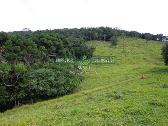 Sítio e chácara venda em Baependi, Região Geográfica Intermediária de Pouso Alegre