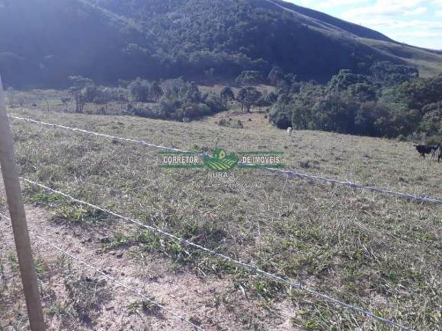 Sítio e chácara venda em Região Geográfica Imediata de Juiz de Fora, Liberdade