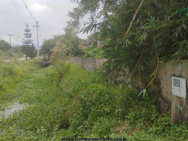 Sítio e chácara venda em Itanhaém