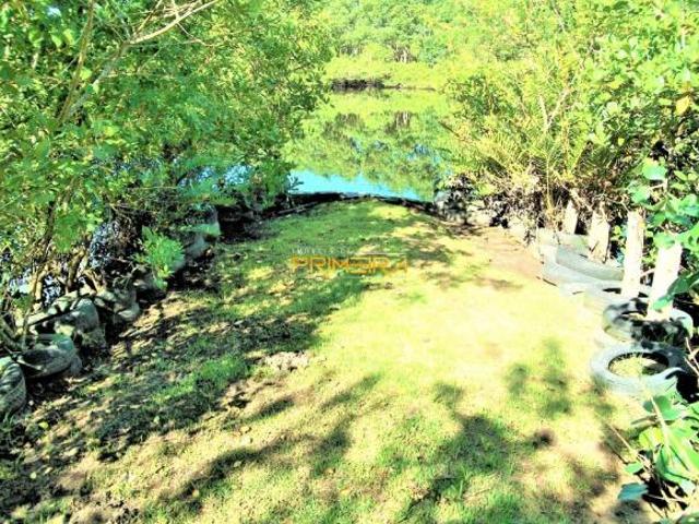 Sítio e chácara venda em Região Geográfica Imediata de Paranaguá, Paranaguá