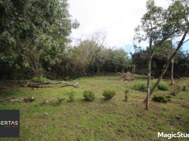 Sítio e chácara venda em Lageado, Porto Alegre