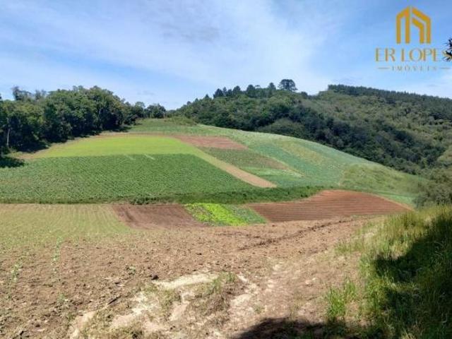 Sítio e chácara venda em Região Geográfica Imediata de Curitiba, Região Metropolitana de Curitiba