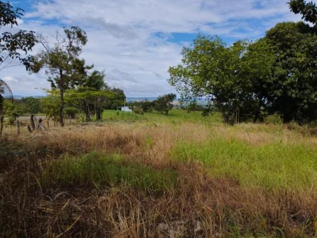 Sítio e chácara venda em Região Geográfica Imediata de Belo Horizonte, Região Metropolitana de Belo Horizonte