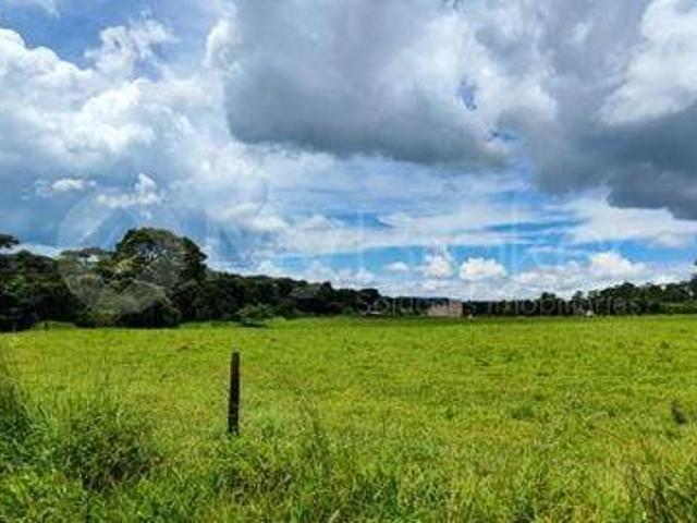 Sítio e chácara venda em Nerópolis