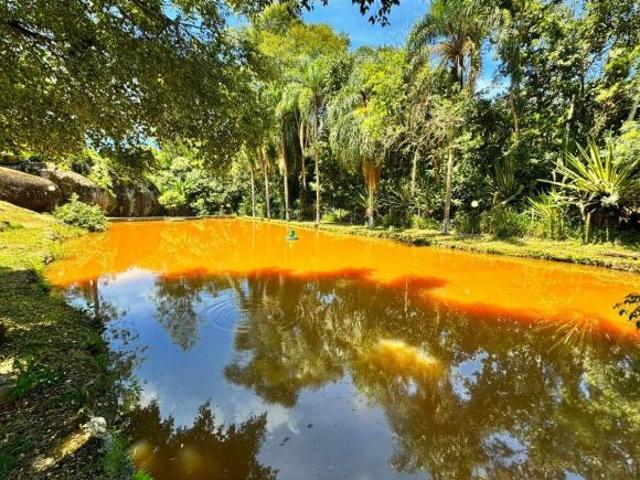 Sítio e chácara venda em Santa Isabel