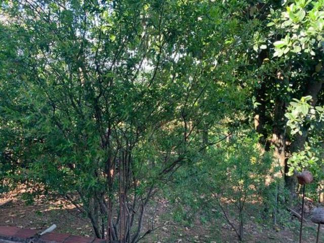 Sítio e chácara venda em Região Imediata de Sorocaba, Região Metropolitana de Sorocaba