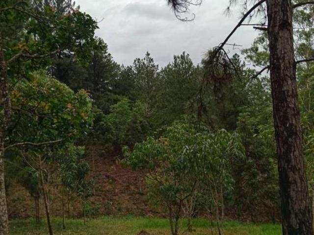 Sítio e chácara venda em Região Imediata de Sorocaba, Região Metropolitana de Sorocaba