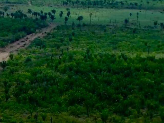 Sítio e chácara venda em Região Geográfica Imediata de Confresa - Vila Rica, São Felix do Araguaia