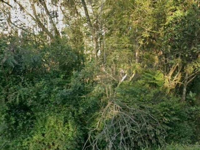 Sítio e chácara venda em Região Geográfica Imediata de Porto Alegre, Região Metropolitana de Porto Alegre
