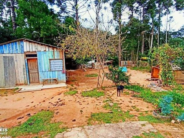 Sítio e chácara venda em Região Geográfica Imediata de Ponta Grossa, Carambei
