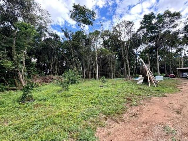Sítio e chácara venda em Geal - Granja Econômica Avícola, Carambeí