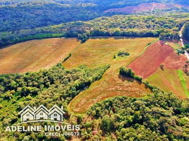 Sítio e chácara venda em Região Geográfica Imediata de Ponta Grossa, Carambei