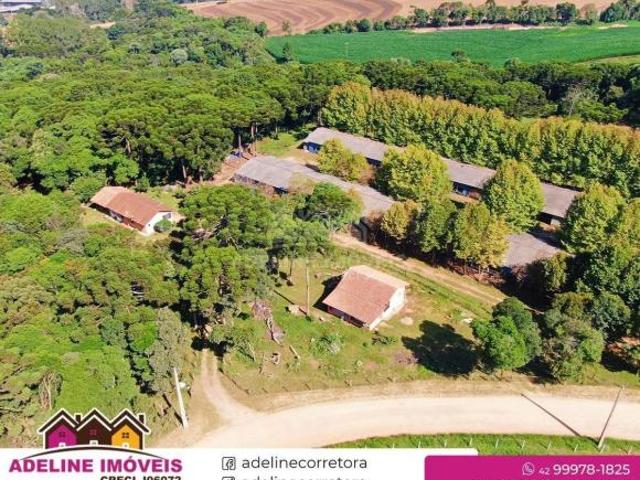 Sítio e chácara venda em Colônia, Carambeí