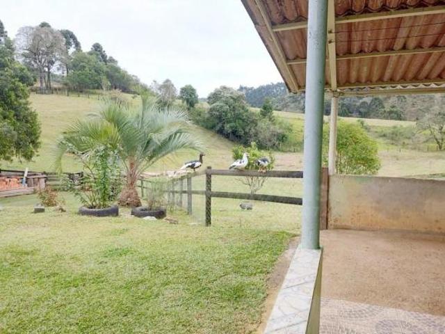 Sítio e chácara venda em Bairro dos Ferreira, Castro