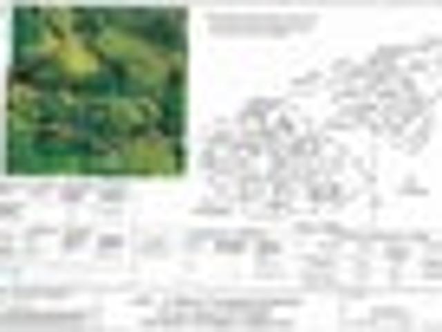 Land for sale in Pembroke, Taranaki