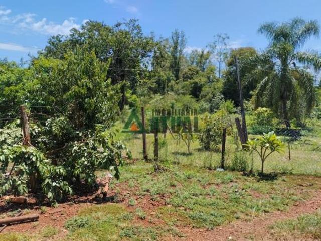 Sítio e chácara venda em Região Geográfica Imediata de Londrina, Londrina