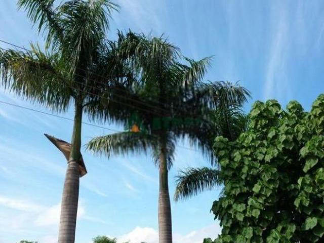 Sítio e chácara venda em Região Geográfica Imediata de Londrina, Londrina