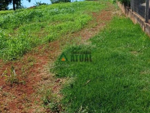 Sítio e chácara venda em Região Geográfica Imediata de Londrina, Londrina