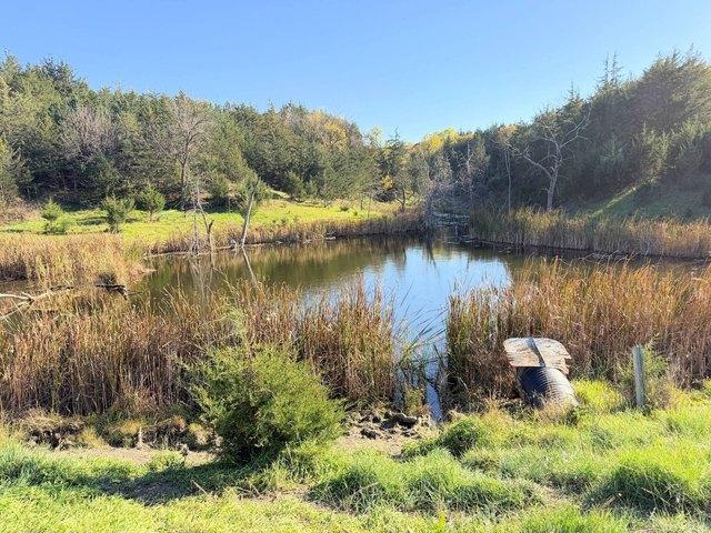 Land for sale in Lynch, Boyd County