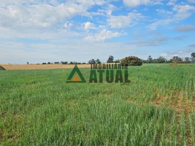 Sítio e chácara venda em Jataizinho, Paraná