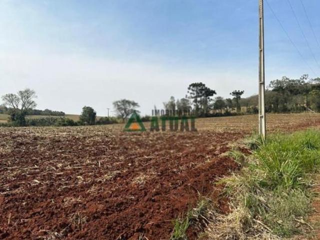 Sítio e chácara venda em Região Geográfica Imediata de Londrina, Londrina