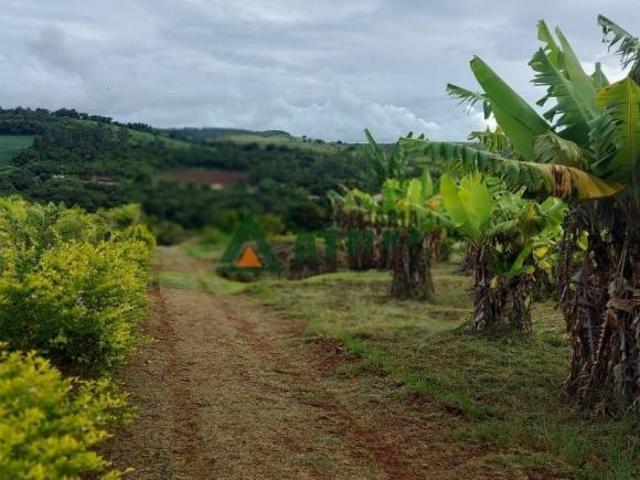 Sítio e chácara venda em Região Geográfica Imediata de Londrina, Arapongas