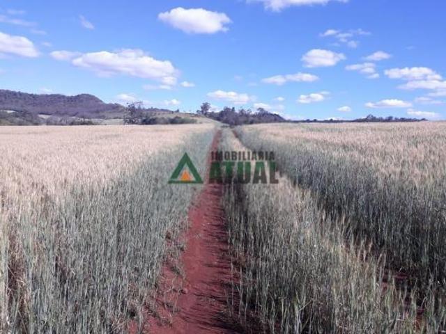 Sítio e chácara venda em Região Geográfica Imediata de Londrina, Ibiporã