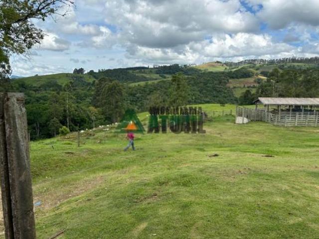 Sítio e chácara venda em Região Geográfica Imediata de Telêmaco Borba, Ortigueira