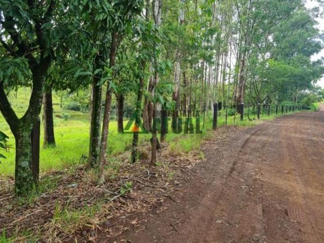 Sítio e chácara venda em Região Geográfica Imediata de Londrina, Londrina