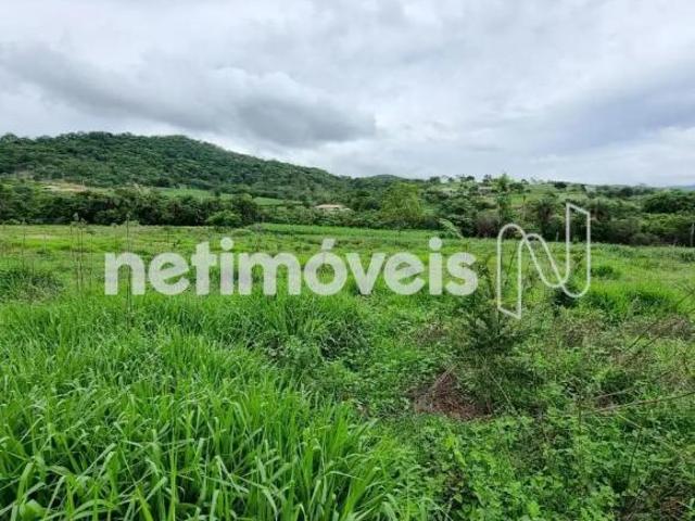 Sítio e chácara venda em Região Geográfica Imediata do Distrito Federal, Região Integrada de Desenvolvimento do Distrito Federal e Entorno