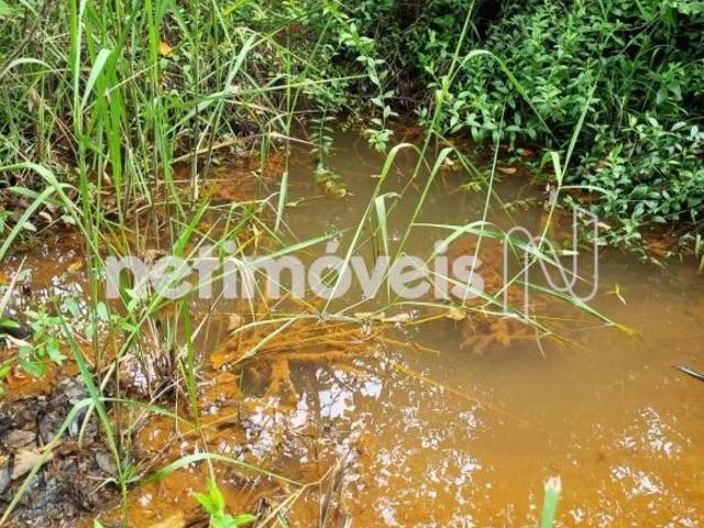 Sítio e chácara venda em Região Geográfica Imediata do Distrito Federal, Região Integrada de Desenvolvimento do Distrito Federal e Entorno