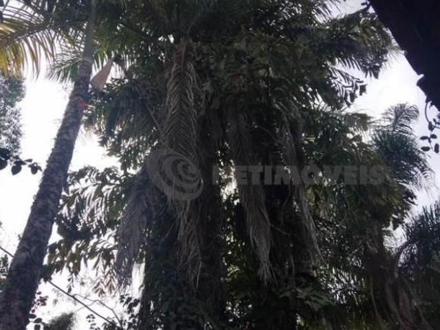 Sítio e chácara venda em Região Geográfica Imediata de Belo Horizonte, Região Metropolitana de Belo Horizonte