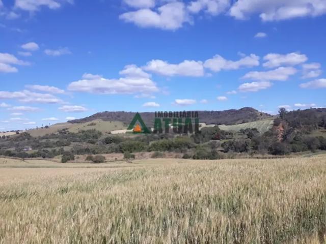 Fazenda venda em Região Geográfica Imediata de Londrina, Ibiporã