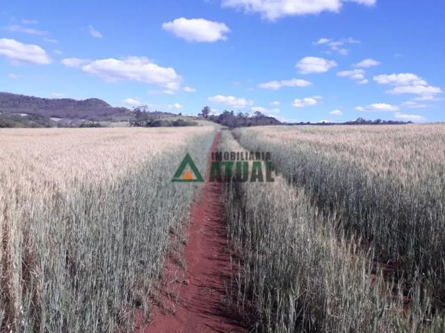 Fazenda venda em Região Geográfica Imediata de Londrina, Ibiporã