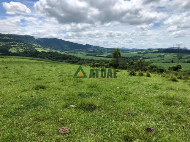 Fazenda venda em Região Geográfica Imediata de Ivaiporã, Faxinal