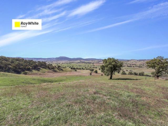 Cottage for sale in Adelong, New South Wales