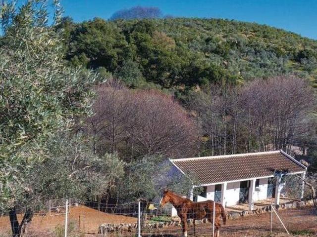 Casa en alquiler en Constantina